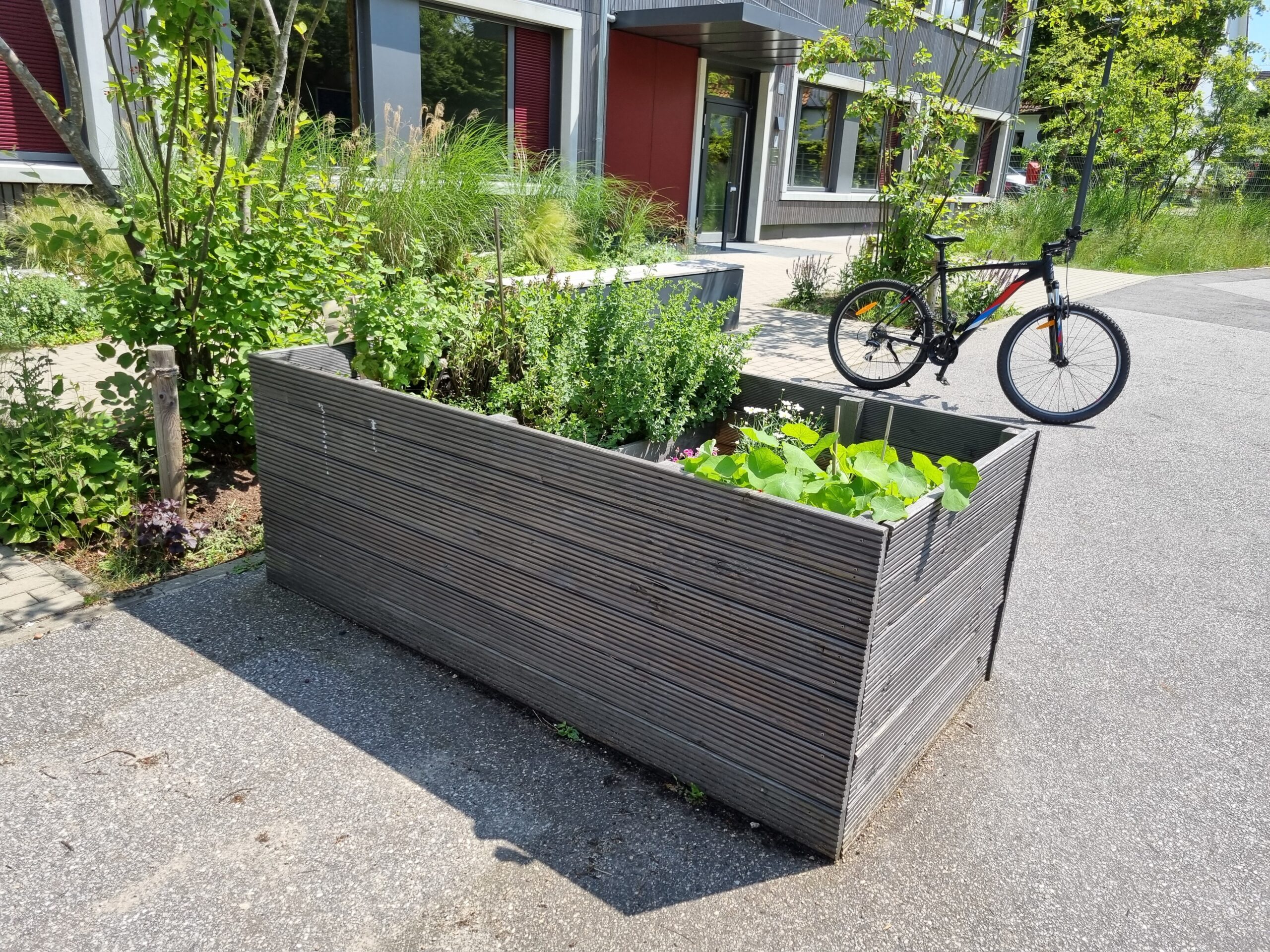 Hochbeet mit Pflanzen vor einem Gebäude, Fahrrad in der Nähe geparkt.