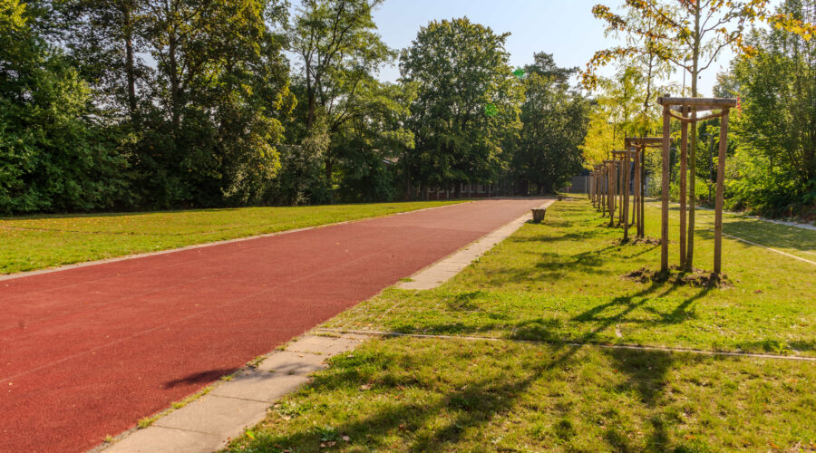 Rote Laufbahn im Park, umgeben von Bäumen und sonnigem Rasen.