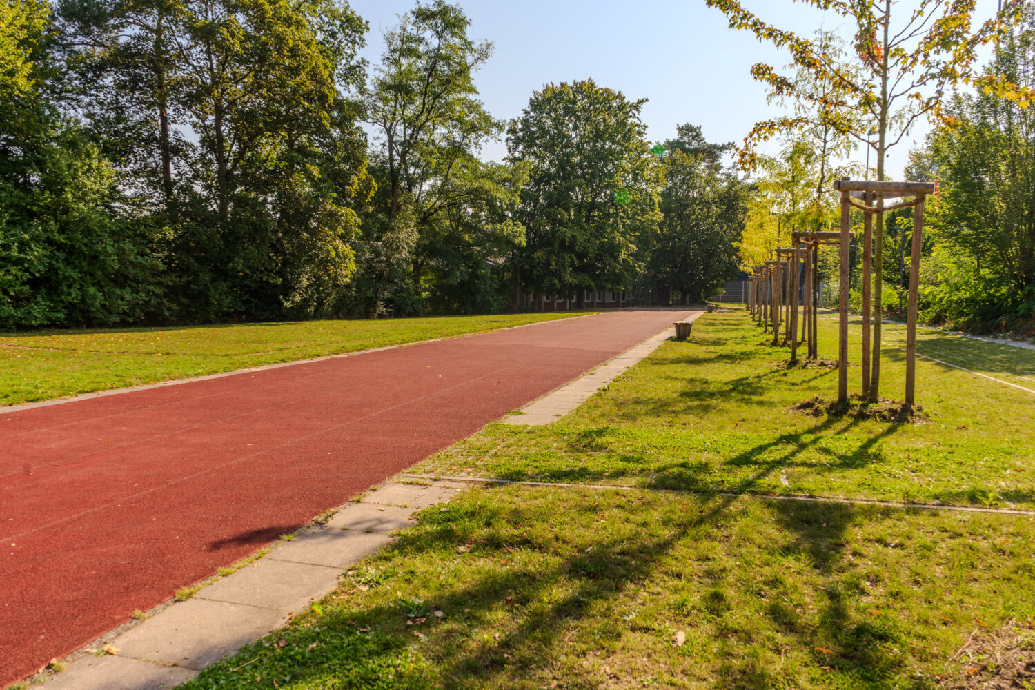 Rote Laufbahn im Park, umgeben von grünen Wiesen und jungen Bäumen.