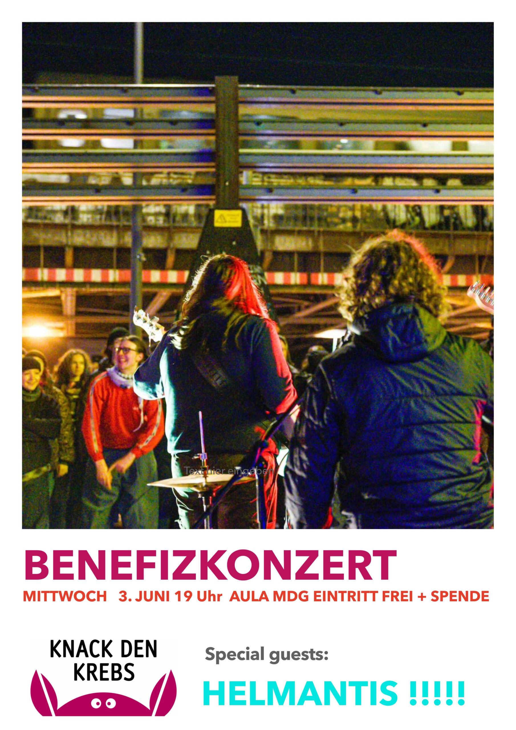 Zuschauer bei einem Benefizkonzert, erkennbar an den instrumentalen Darbietungen.